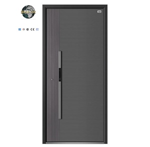 Modern Minimalist Anti-Theft Aluminum Alloy Door Security Entry
