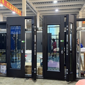Modern Design Villas Black Profile Aluminum Frame Door