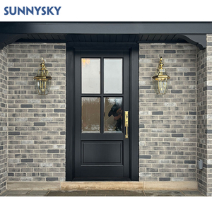 Modern American Design House Entrance Front Pivot Door