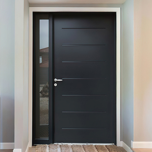 Zinc Galvanized Alloy Main Security Exterior Front Door