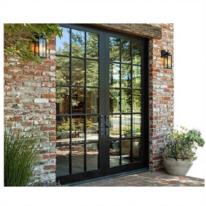 Sunnysky French Style Exterior Entry Double Glass Swing Door
