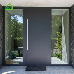Modern Heavy Duty Manual Pivot Entry Door