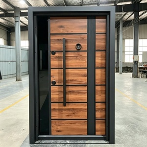 High Quality Security Steel Door Apartment Entry Metal Door