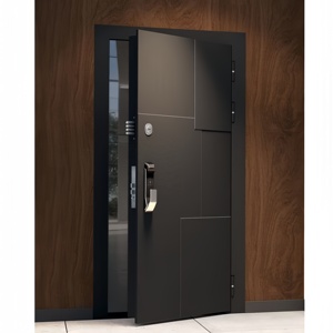 Security Entrance Doors Exterior Residential Front Pivot Doors